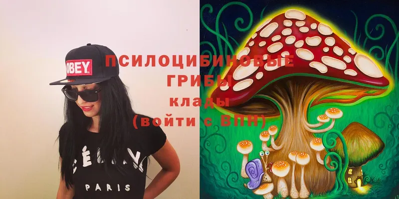 Галлюциногенные грибы Magic Shrooms  Багратионовск 